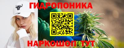 мяу мяу кристалл Малоярославец