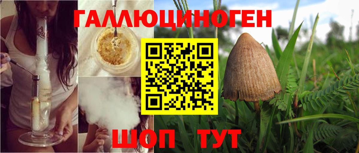 Урюпинск  Псилоцибиновые грибы Magic Shrooms  Псилоцибиновые грибы GOLDEN TEACHER  где купить наркоту  Вход с VPN 